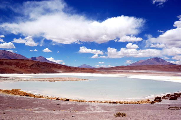 Laguna Colorada in Bolivia