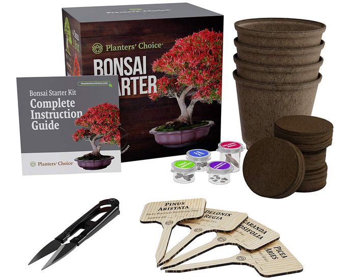 Best Valentine's Day Gifts on Amazon