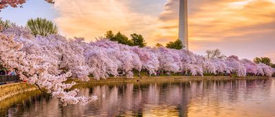 Washington, D.C.: When to Go