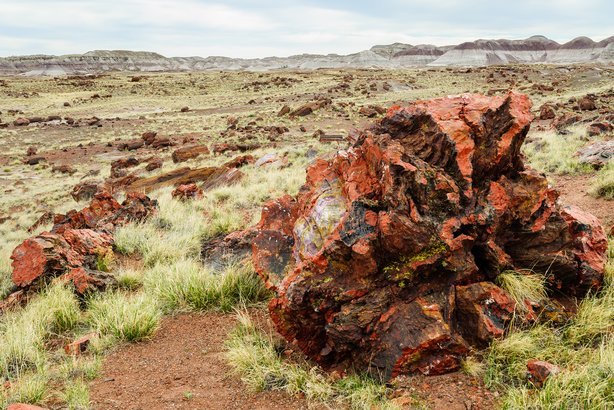 Route 66 | Petrified Forest National Park