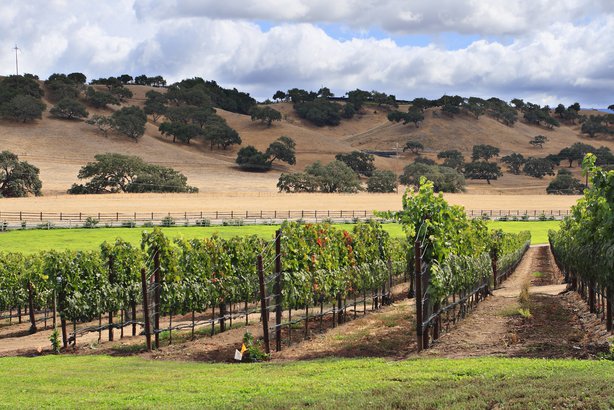 Get to Know Wines From Lesser Known Regions