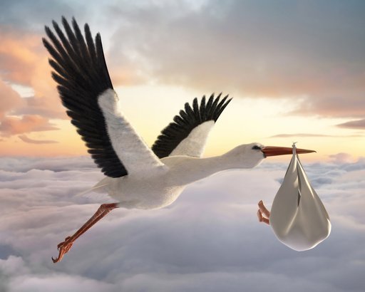 Storks Deliver Babies