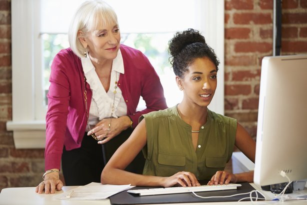 Mentor or Job Coach