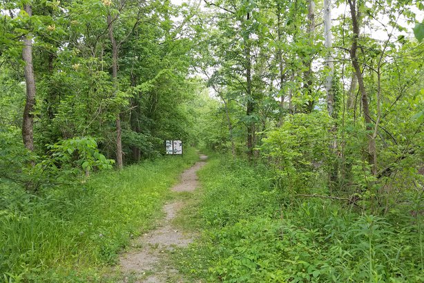 Ora E. Anderson Nature Trail and Monday Creek