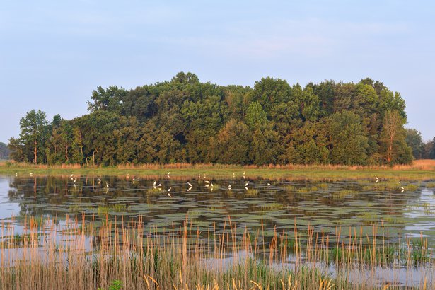 Bombay Hook National Wildlife Refuge in Delaware