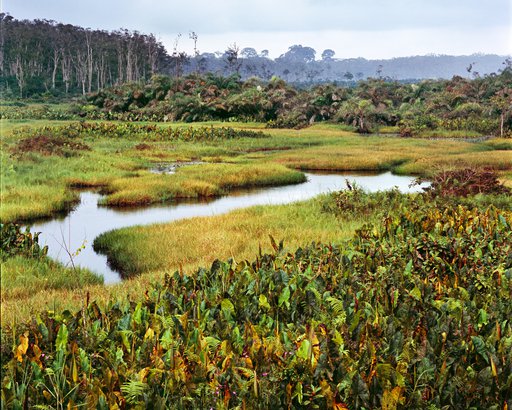 Gabon