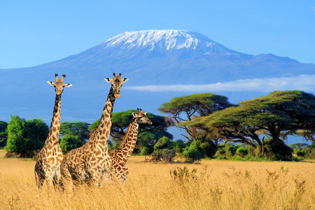 Kenya