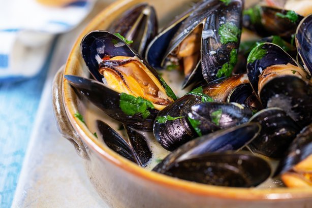 Mussels