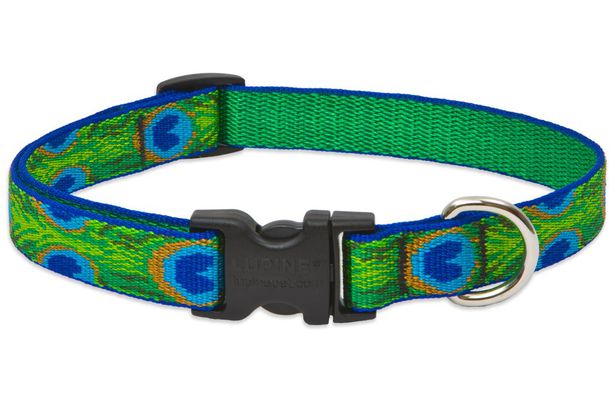 LupinePet Dog Collar