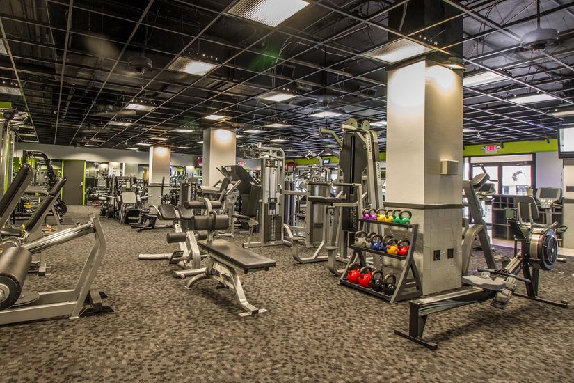 Best Gyms 50 Places Where Muscles Get Your Money's Worth