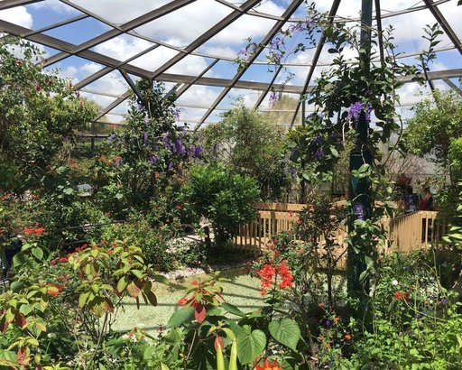 I-95 | Butterfly World