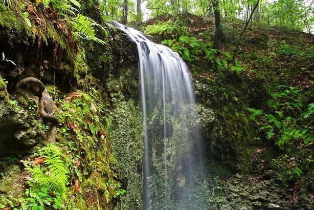 I-10 | Falling Waters State Park