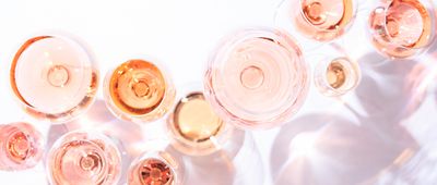 Many glasses of rose wine at wine tasting