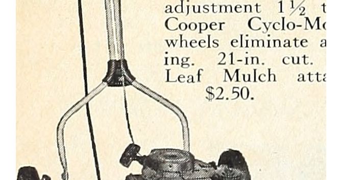 Image from page 57 of "Bolgiano's spring 1966 catalog : our 77th year" (1966)