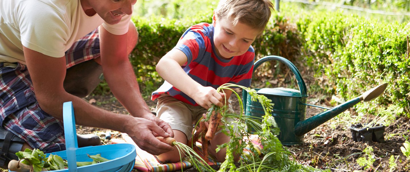 Grow Your Own Garden at Home