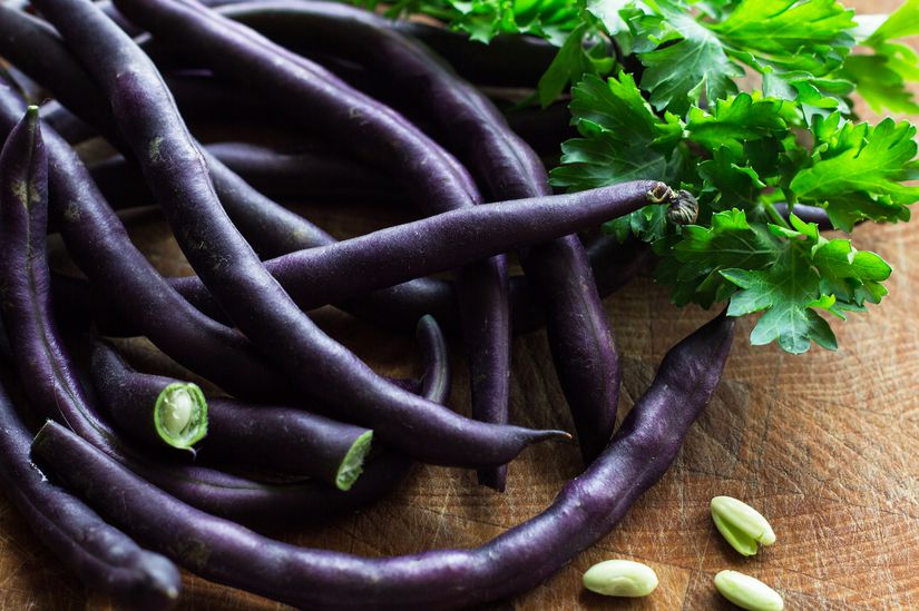 070116_summer_bean_recipes_slide_4_fs