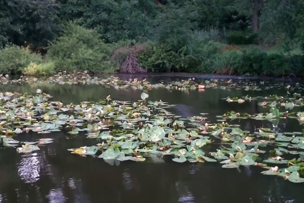 Noxontown Lake