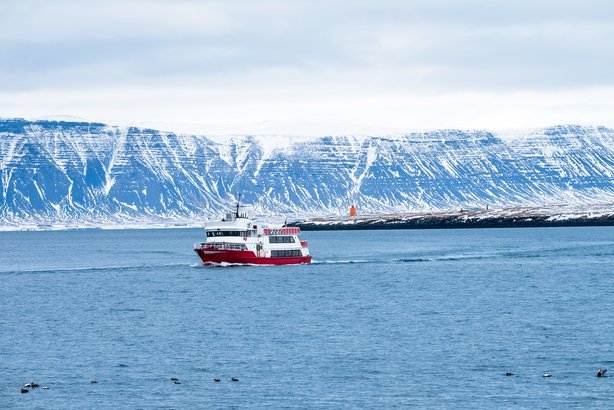 Enjoy Iceland By Boat