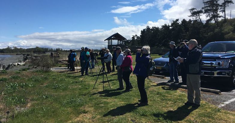 bird watchers during Olympic Peninsula BirdFest, Olympic Peninsula, Washington