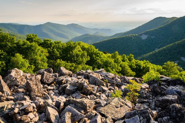 Shenandoah National Park in Virginia