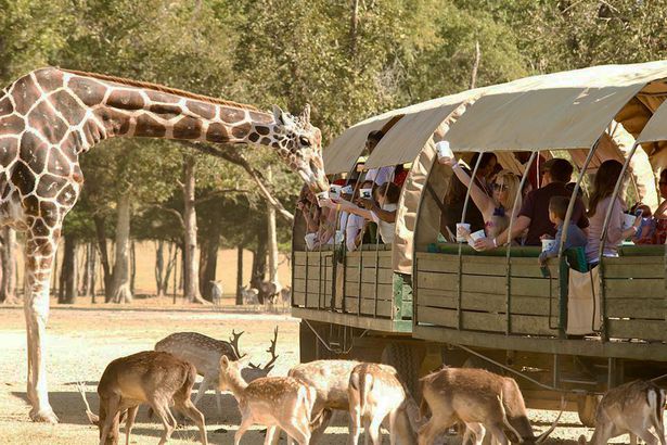 21 Parks Places To See Wild Animals Up Close Cheapism Com