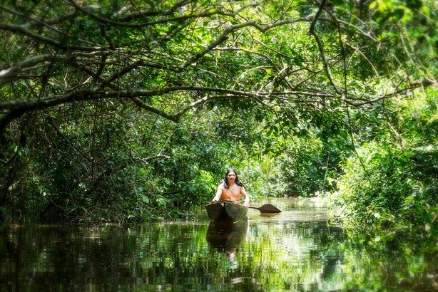 Amazon jungle, Ecuador