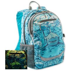 ll bean discovery glow backpack