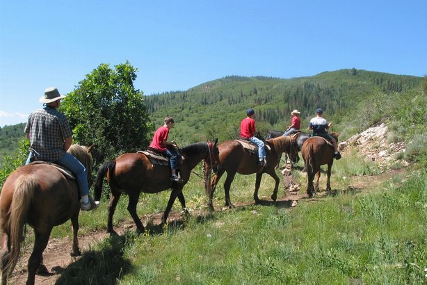 No Horse-Riding While Under the Influence in Colorado