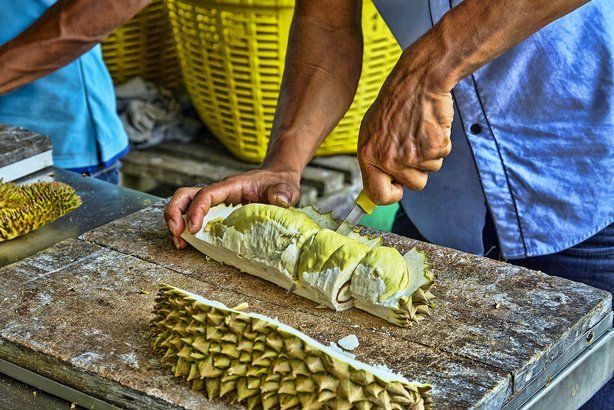 Eating Durians Is Banned in Public Places
