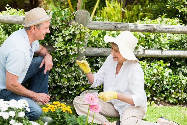 Garden for the Planet