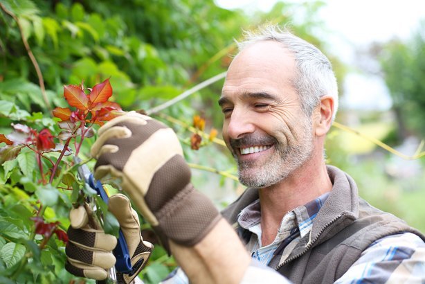 Garden Masterfully