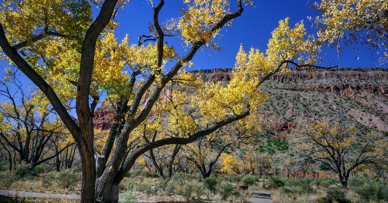 Jemez Springs, New Mexico