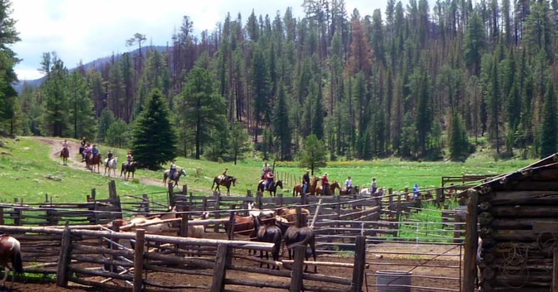 Alpine, Arizona