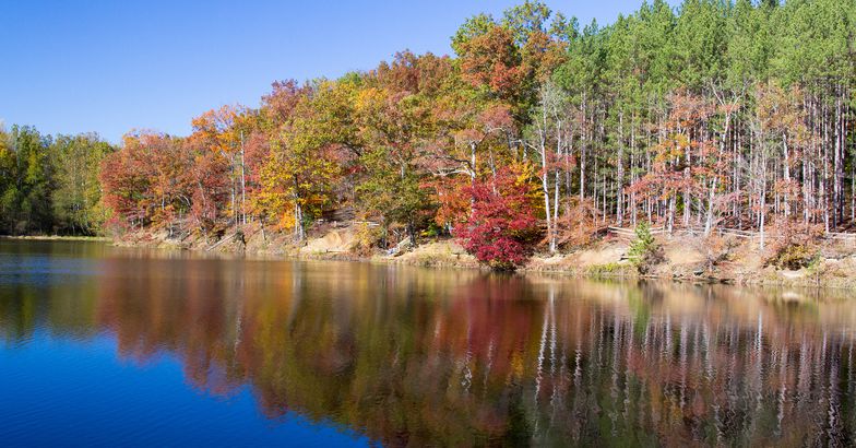 Brown County State Park, Nashville, Indiana