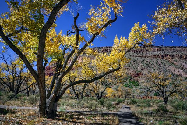 Jemez Springs, New Mexico