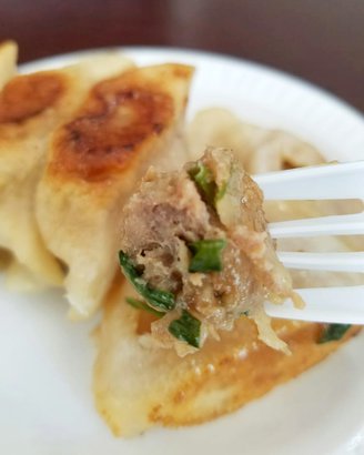 Eat a Dumpling Dinner