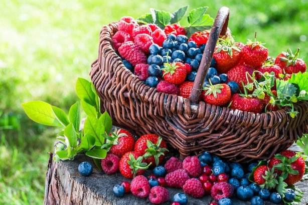 Berries - Summer