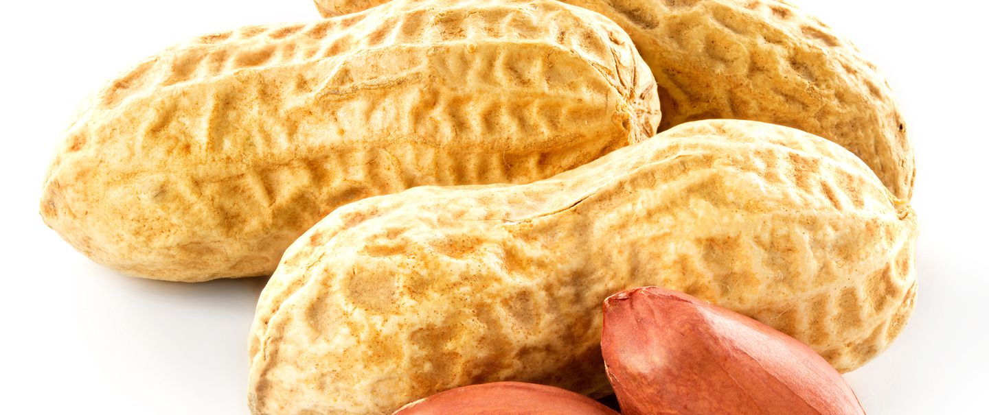 Go Nuts 15 Cheap and Easy Peanut Recipes