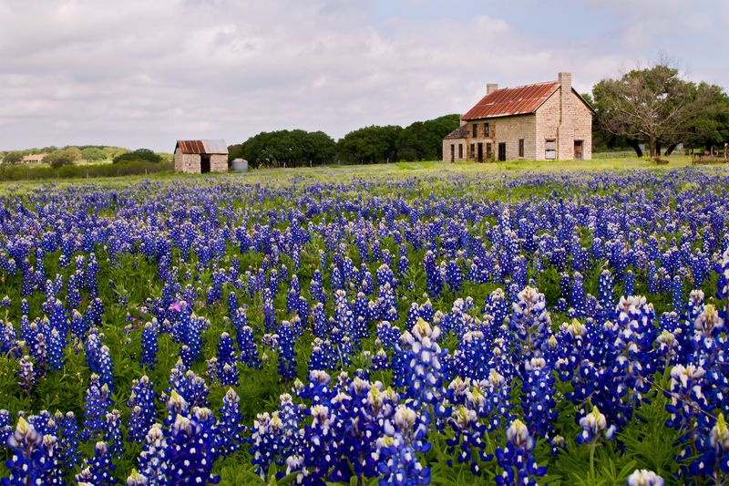 Best Small Town Spring Festivals Cheapism