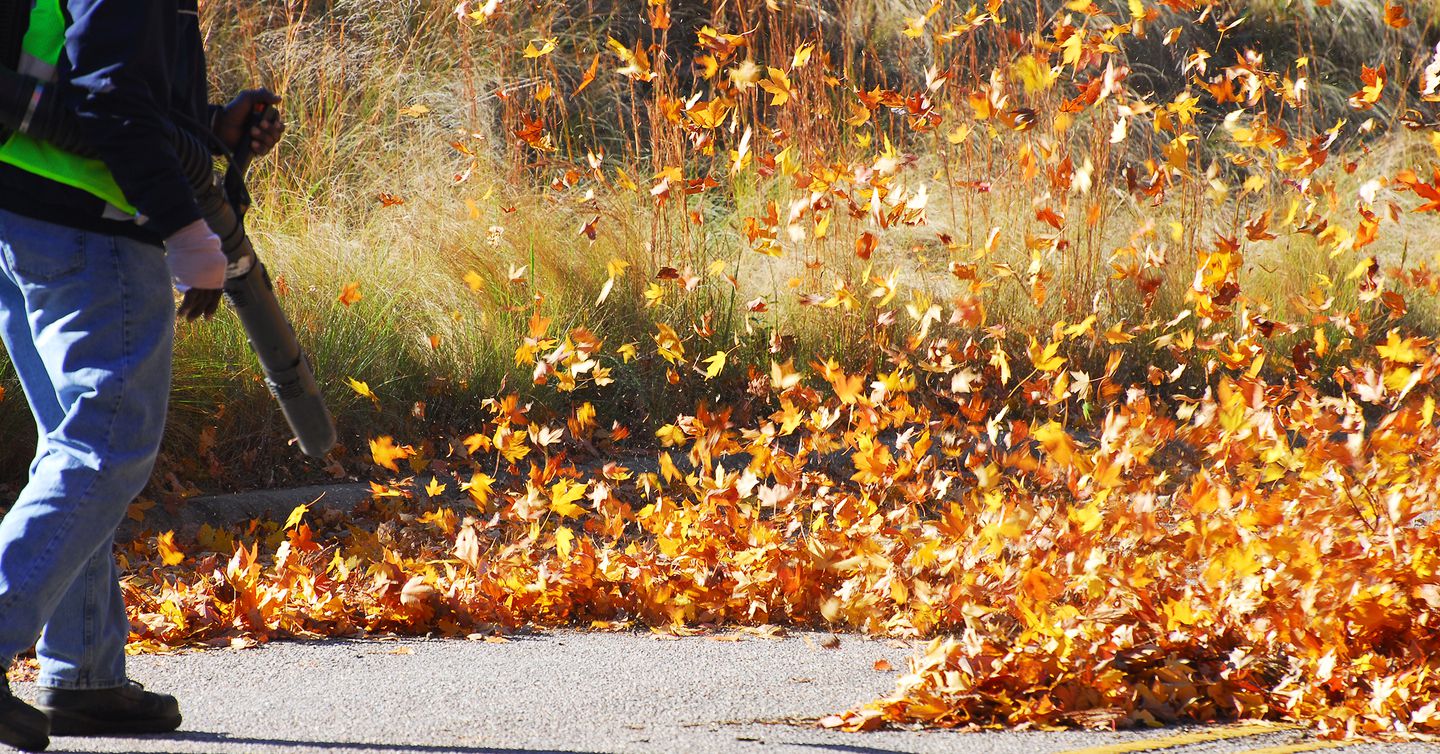 Best Gas and Electric Leaf Blowers Under 150 in 2022