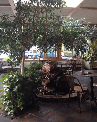55 Restaurants That Serve Thanksgiving Dinner Ism Café Flora In Seattle Wa