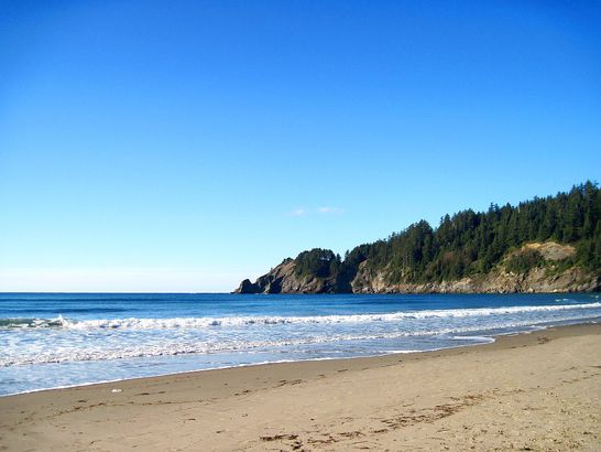 cape falcon