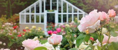 Fuller Gardens, North Hampton, New Hampshire