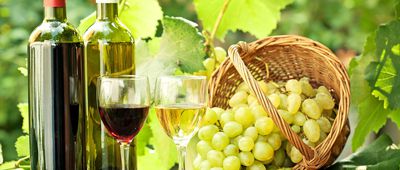 031616 cheap spring wines slide 0 fs