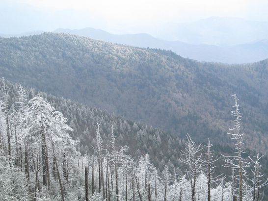 Clingmans Dome - Great Smoky Mountains National Park - North Carolina