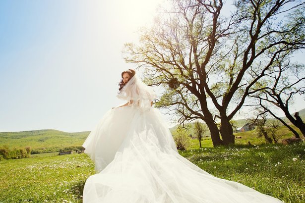 Exorbitant Wedding Dress