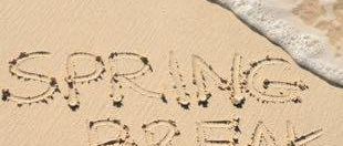 020215 cheap spring break 1 310