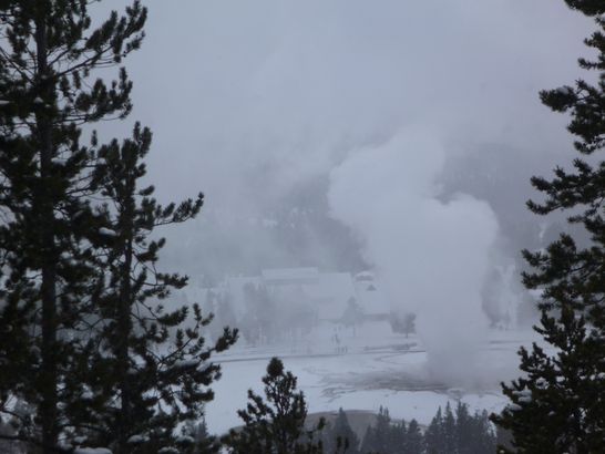 Yellowstone 2016 Day 5