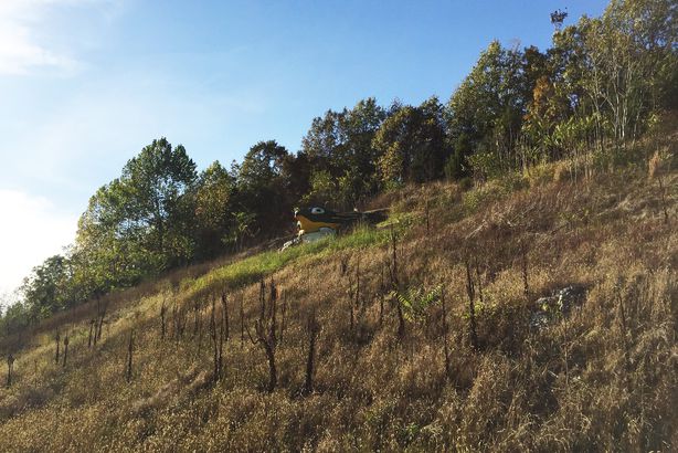 Frog Rock, Waynesville, MO (2)