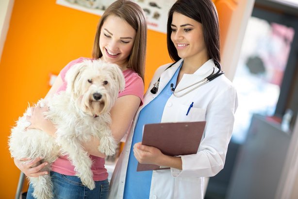 How Much To Raise A Dog Per Year How Much To Raise A Dog Per Year